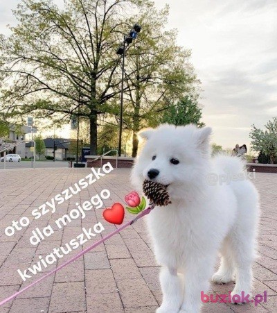 weronika, Female, 24, Olsztynek, Polska, Photo: 2