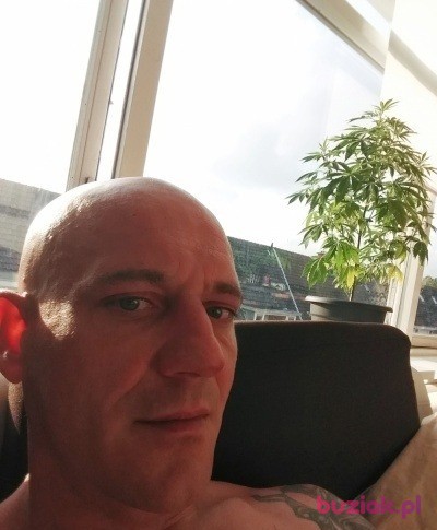Łukasz, Mężczyzna, 42, Rotterdam South Holland Province, Holandia, Zdjęcie: 2