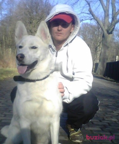 Mario124, Mężczyzna, 41, Pszczyna, Polska: 1