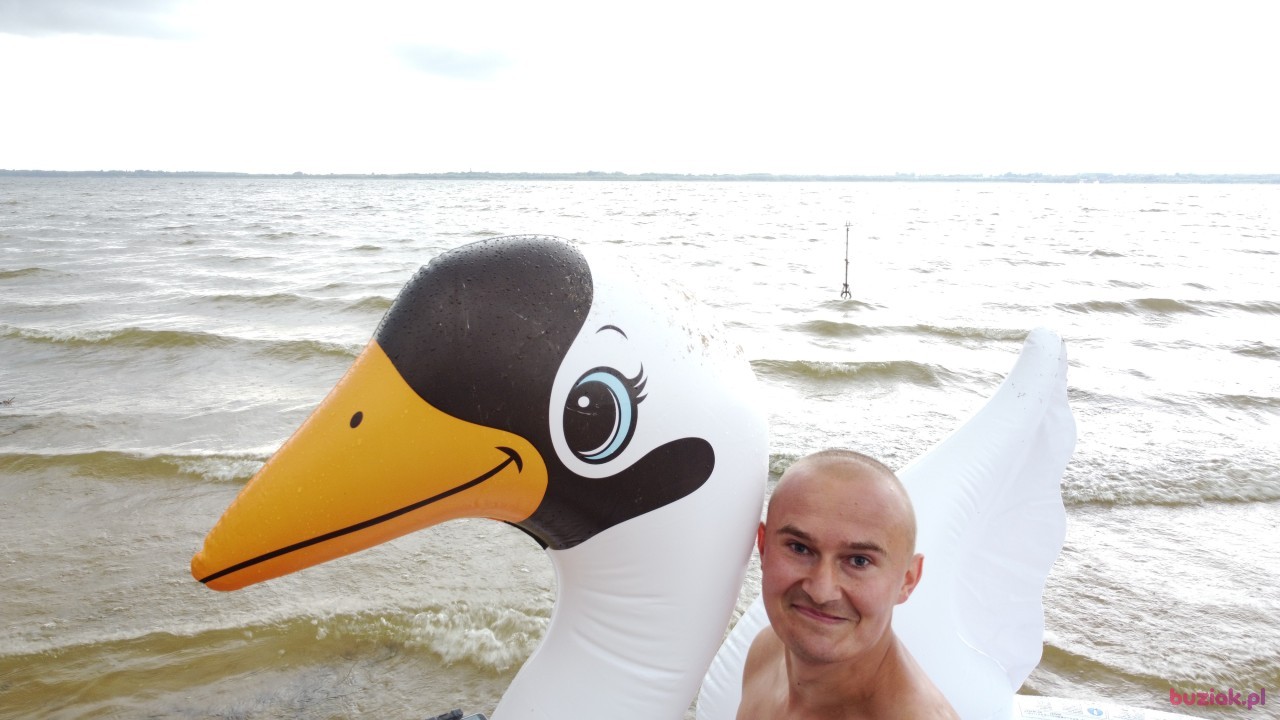 Michał, Mężczyzna, 36, Zgierz, Polska, Zdjęcie: 528