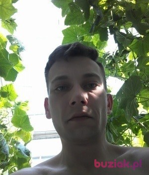 Maciej, Mężczyzna, 34, Rotterdam South Holland Province, Holandia, Zdjęcie: 4
