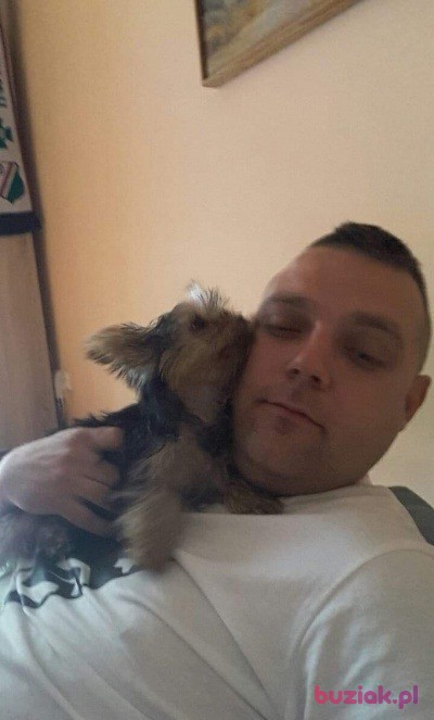 Dawid, Mężczyzna, 35, Warszawa, Polska, Zdjęcie: 2