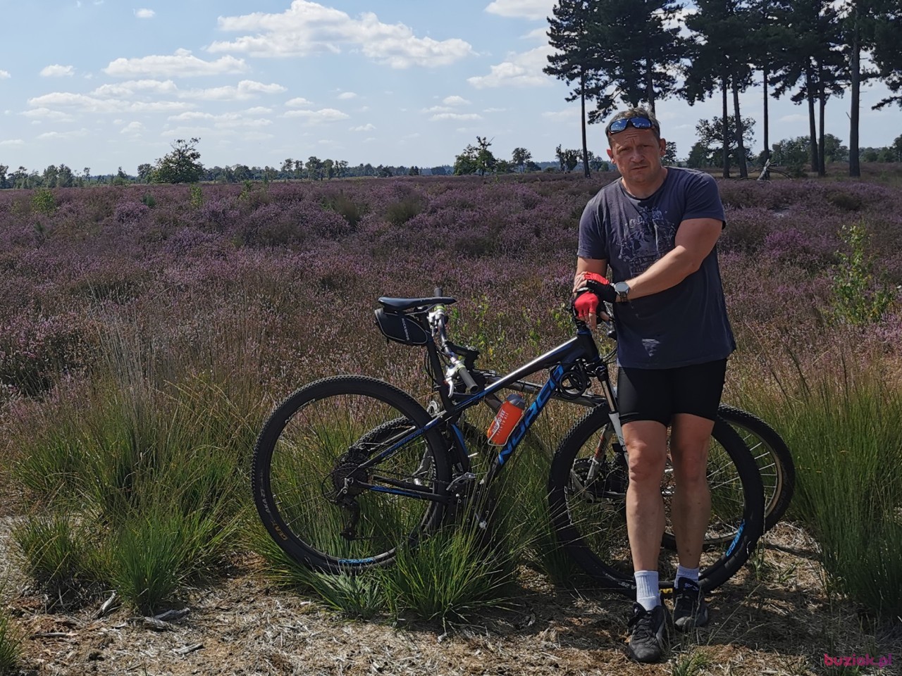 Maniek, Mężczyzna, 47, Eindhoven, Holandia, Zdjęcie: 3