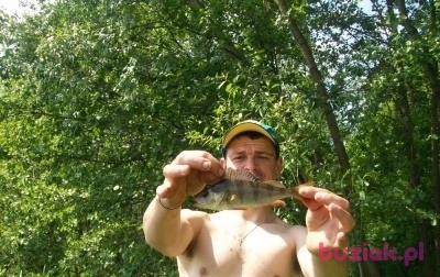 Maks, Male, 38, Kłodzko, Polska, Photo: 2