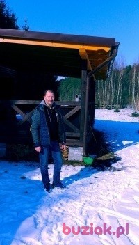 Zbigniew , Mężczyzna, 57, Elbląg, Polska, Zdjęcie: 2