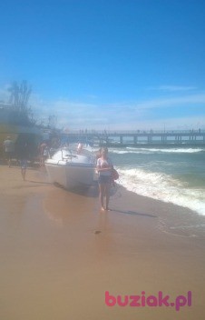Ola, Kobieta, 33, Lublin, Polska, Zdjęcie: 1