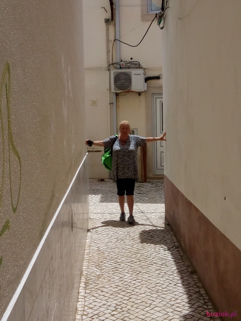 Ewa, Female, 62, Groningen, Holandia, Photo: 2