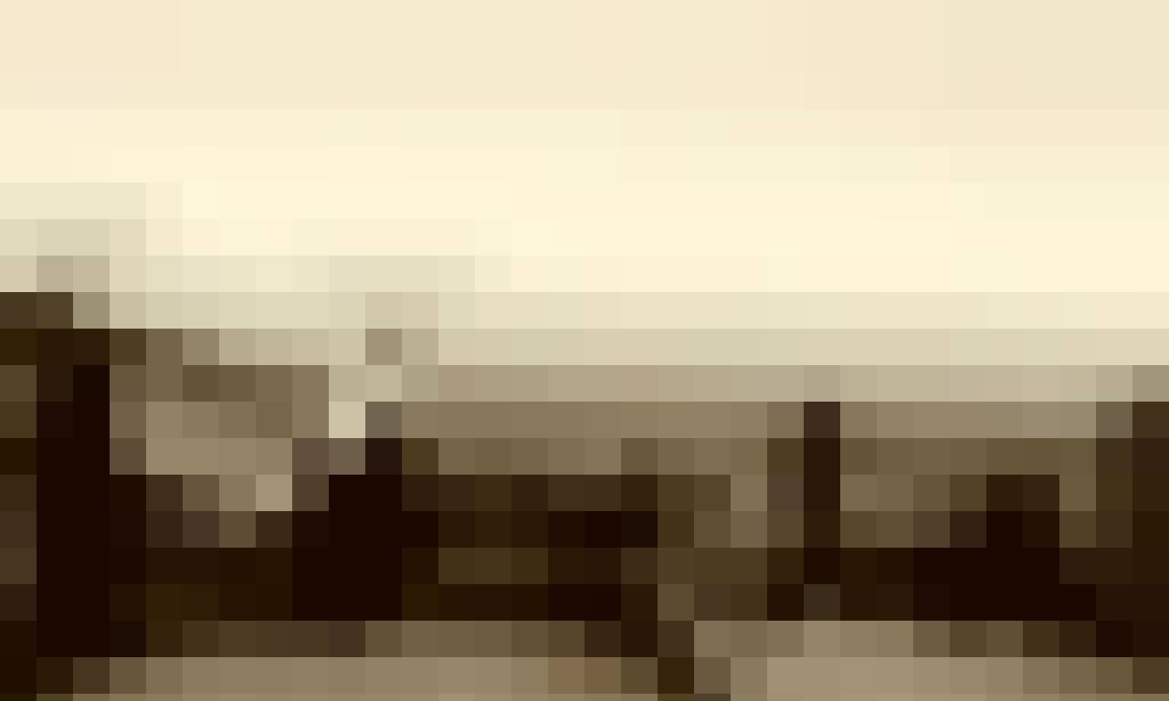 Tomasz, Male, 41, Rotherham, Wielka Brytania, Photo: 6