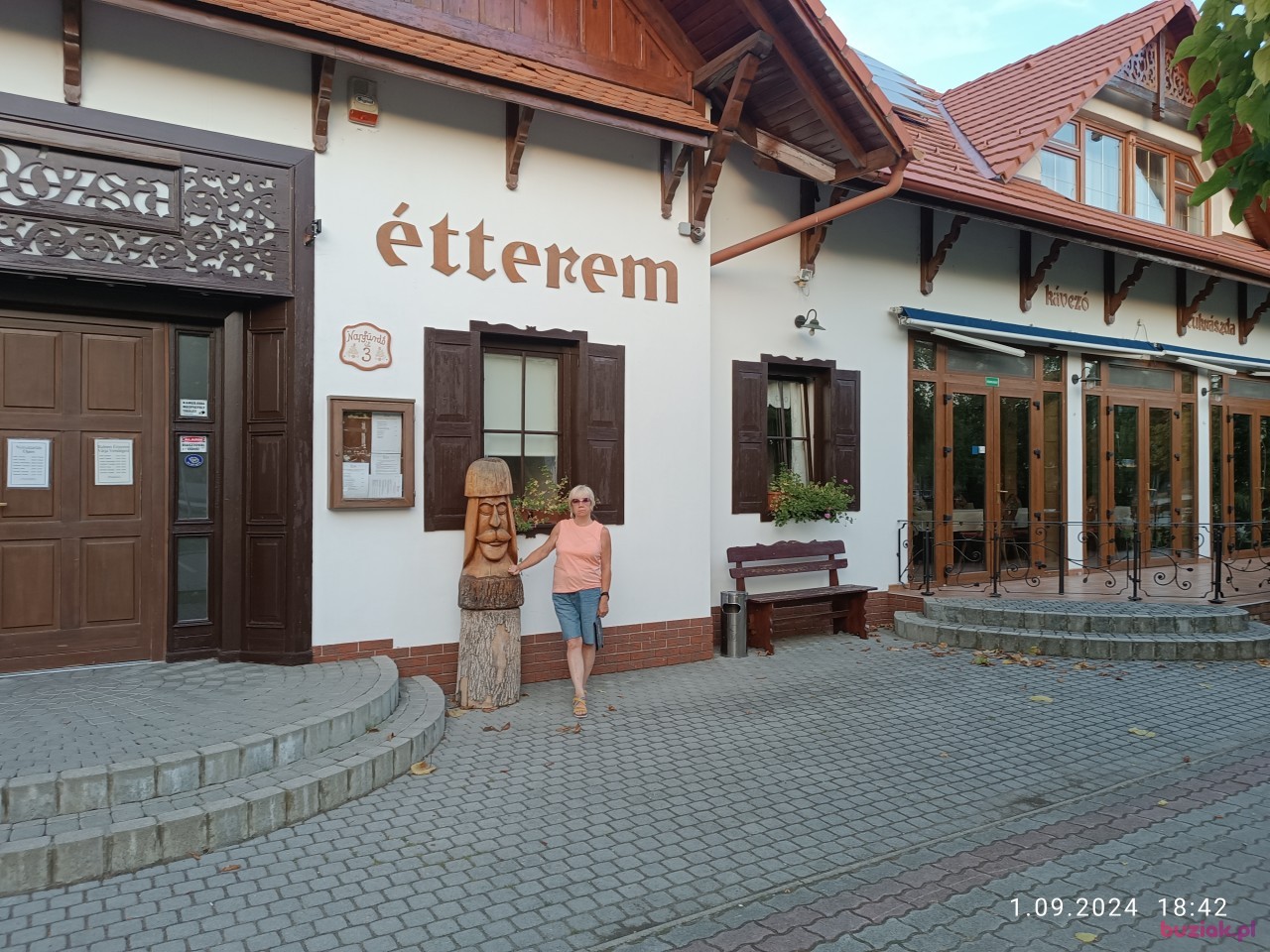 Singielka, Female, 66, Rzeszów, Polska: 1