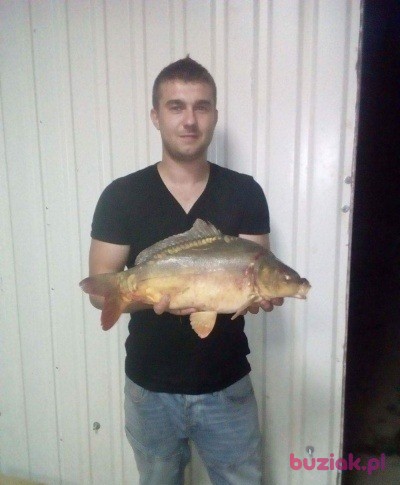 Hubert , Male, 34, Lublin, Polska, Photo: 3