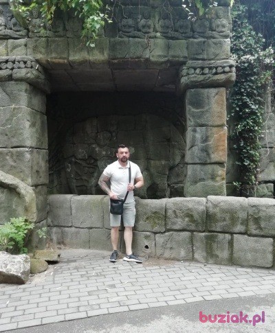 Tomek, Mężczyzna, 45, Rotterdam South Holland Province, Holandia, Zdjęcie: 3