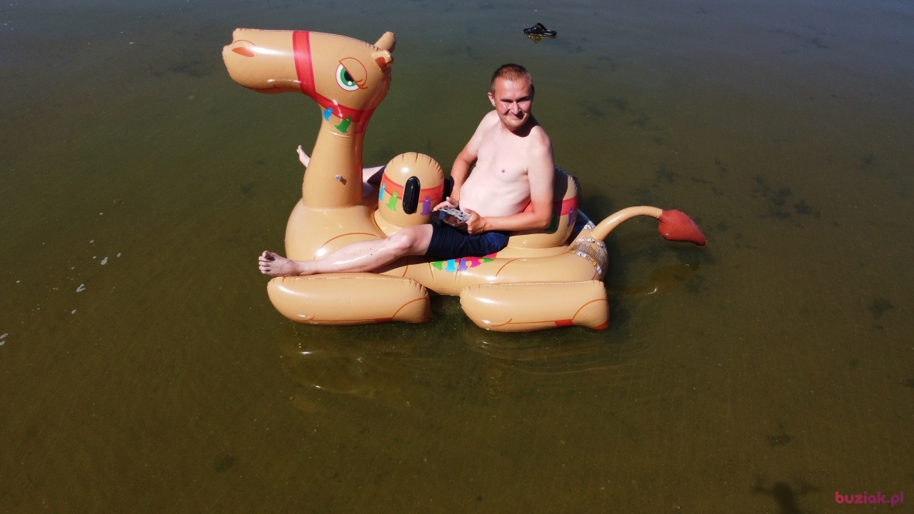Michał, Mężczyzna, 36, Zgierz, Polska, Zdjęcie: 471