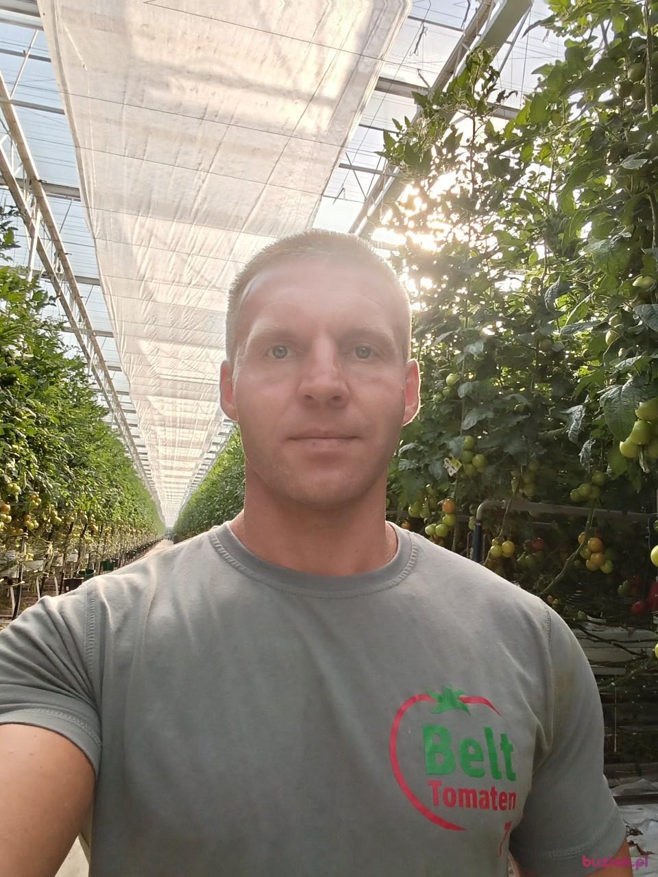 marcin, Mężczyzna, 37, Zwolle, Holandia, Zdjęcie: 3