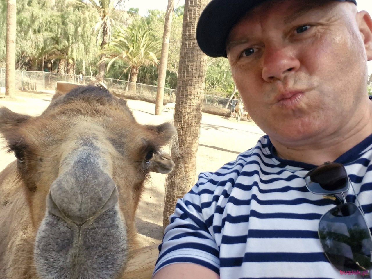 JAcuś, Mężczyzna, 48, Warszawa, Polska: 1