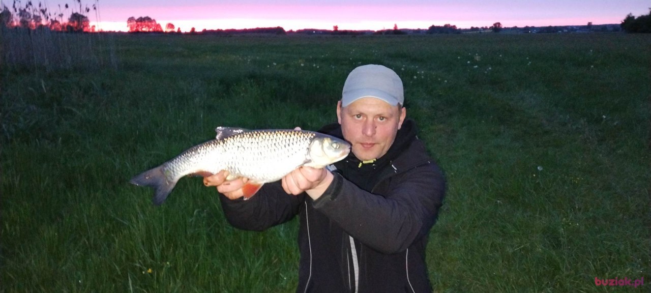 Art, Mężczyzna, 44, Mońki, Polska: 1