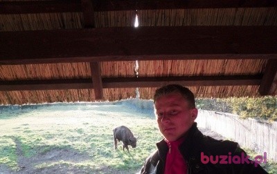 mailo103, Male, 39, Westminster, Wielka Brytania: 1