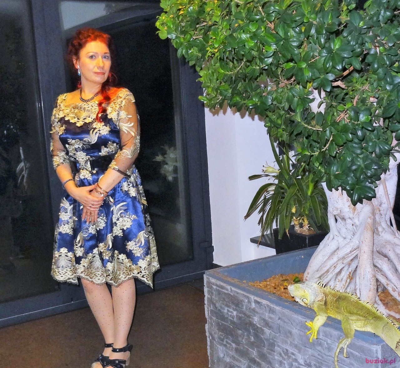 Małgorzata, Kobieta, 59, Kraków, Polska, Zdjęcie: 1