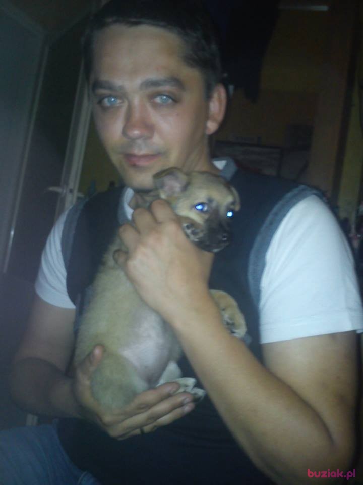 robert, Male, 42, Siedlce, Polska, Photo: 2