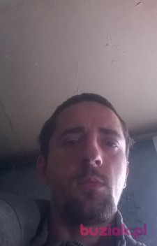 Adam, Mężczyzna, 39, Ruda Śląska, Polska, Zdjęcie: 5