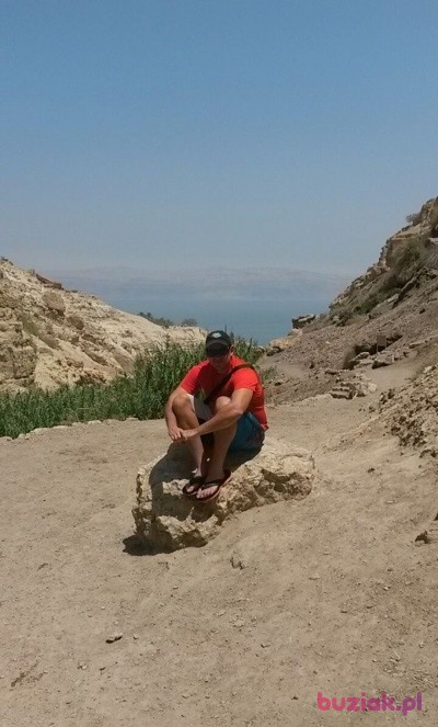 gdog, Male, 46, Westminster, Wielka Brytania, Photo: 2