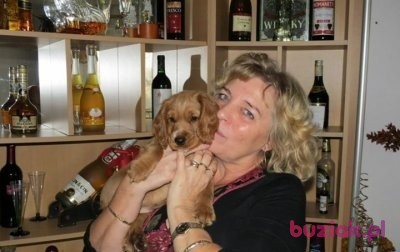 Jolanta, Kobieta, 68, Wielka Brytania, Zdjęcie: 2