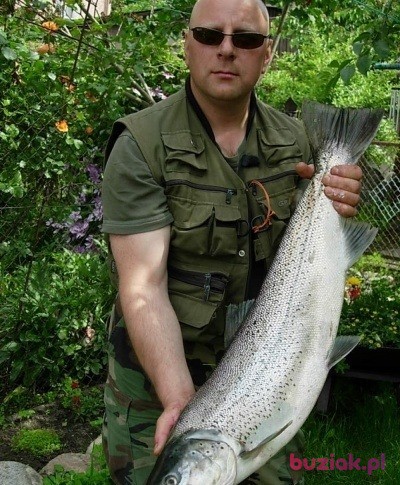 Miłosław,, Mężczyzna, 62, Białogard, Polska, Zdjęcie: 2