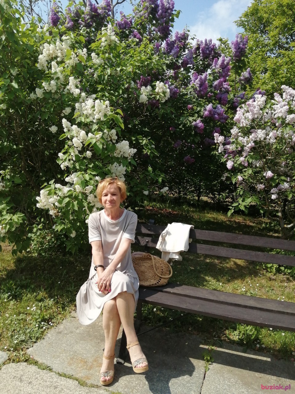 Danka, Kobieta, 64, Poznań, Polska, Zdjęcie: 1