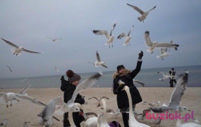 subtelna7, Kobieta, 64, Polska, Zdjęcie: 12