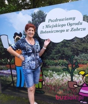 Halina, Female, 73, Zabrze, Polska, Photo: 7