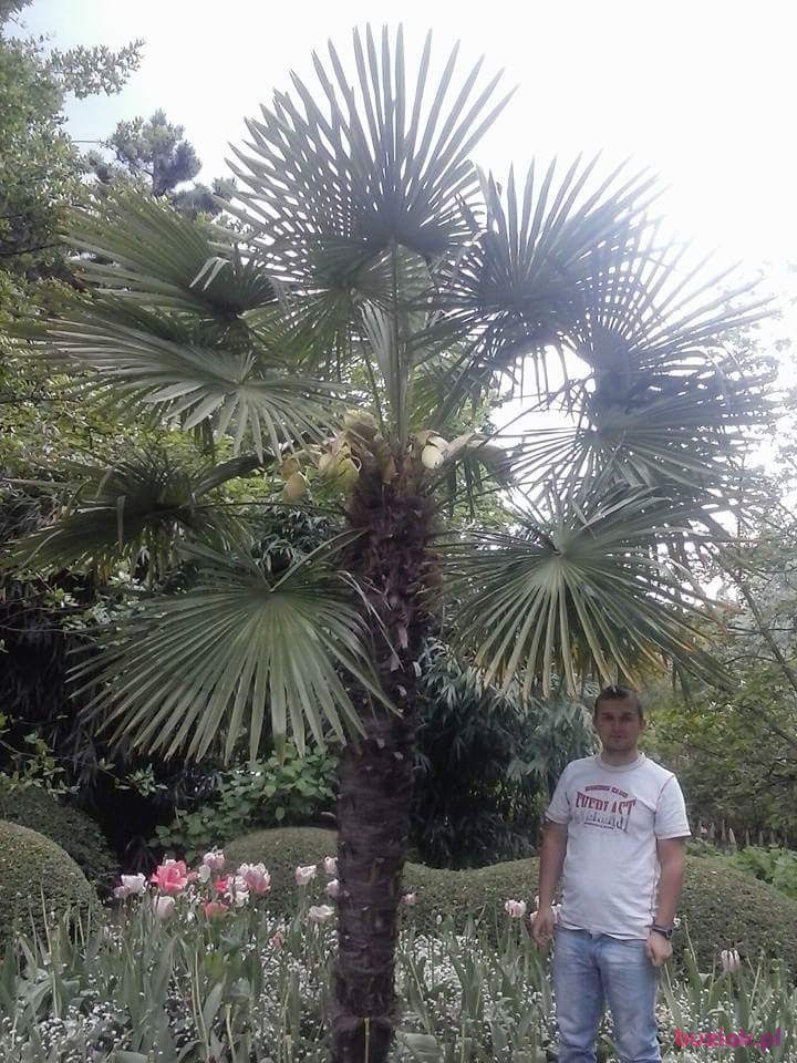 Kamil, Mężczyzna, 31, Białystok, Polska, Zdjęcie: 4