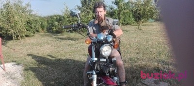 mariusz, Mężczyzna, 57, Toruń, Polska, Zdjęcie: 1
