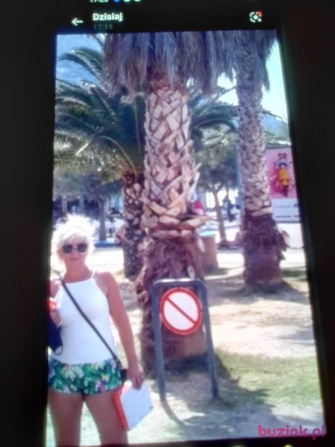 Ilona, Female, 52, Orzesze, Polska: 1