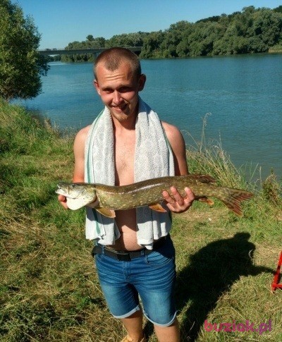 Sebastian, Mężczyzna, 33, Wąbrzeźno, Polska, Zdjęcie: 2