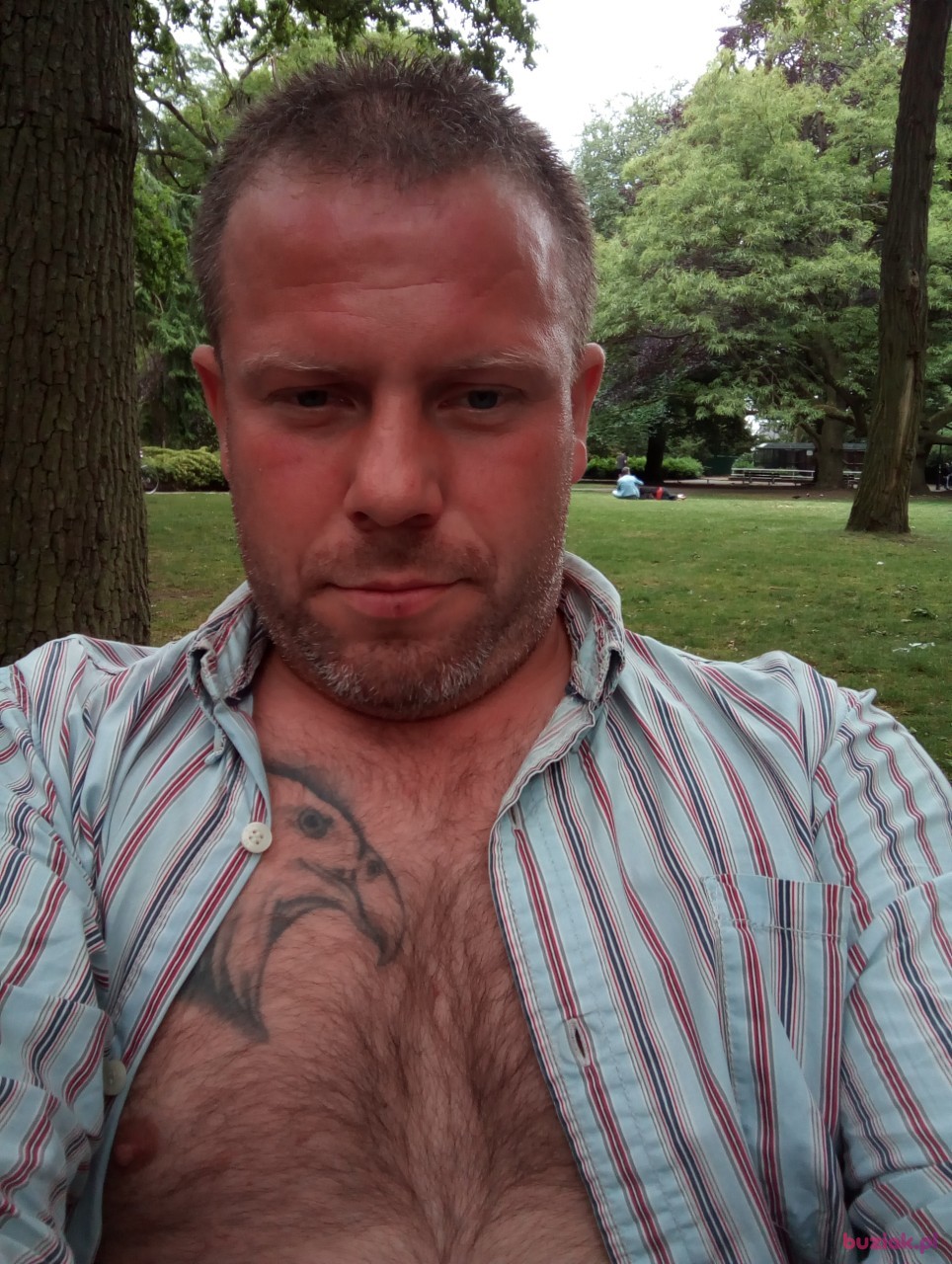 Kamil, Mężczyzna, 38, Eindhoven, Holandia: 1