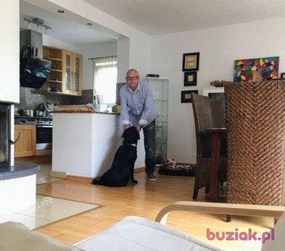 Peter, Male, 50, Cologne North Rhine Westphalia, Niemcy, Photo: 1