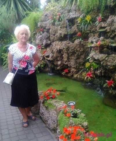 Alicja, Kobieta, 74, Włocławek, Polska, Zdjęcie: 7