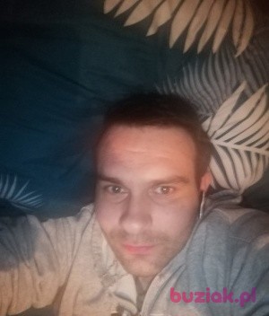 Tomek, Mężczyzna, 36, Rotterdam South Holland Province, Holandia: 1