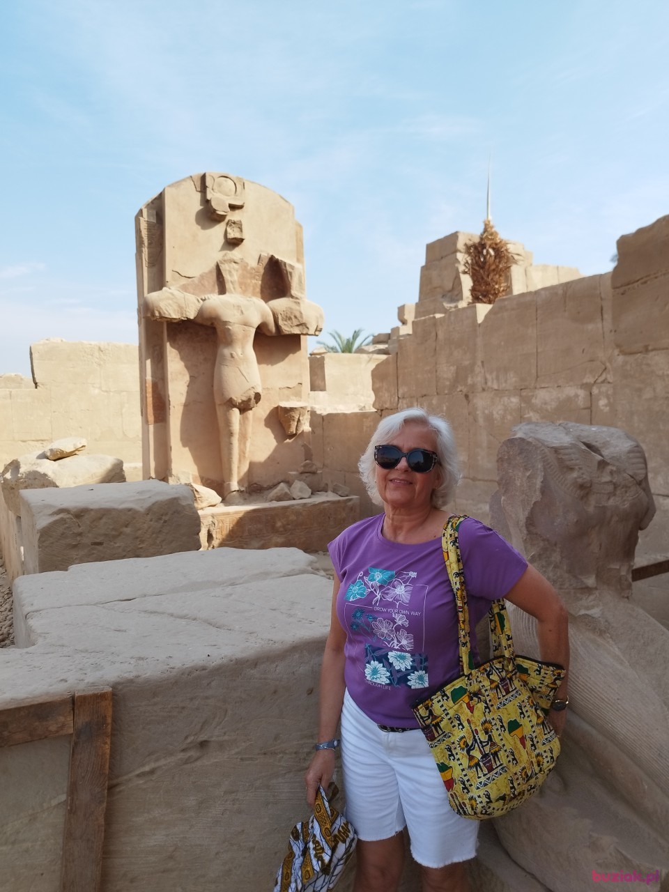 Małgorzata, Kobieta, 62, Warszawa, Polska, Zdjęcie: 6