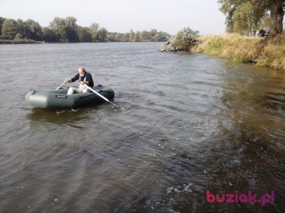 Andrzej, Male, 67, Wrocław, Polska, Photo: 7