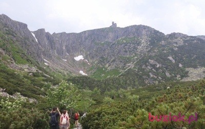 subtelna7, Kobieta, 64, Polska, Zdjęcie: 8