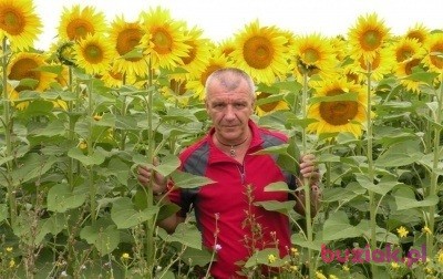 Dariusz , Mężczyzna, 65, Jasło, Polska, Zdjęcie: 2