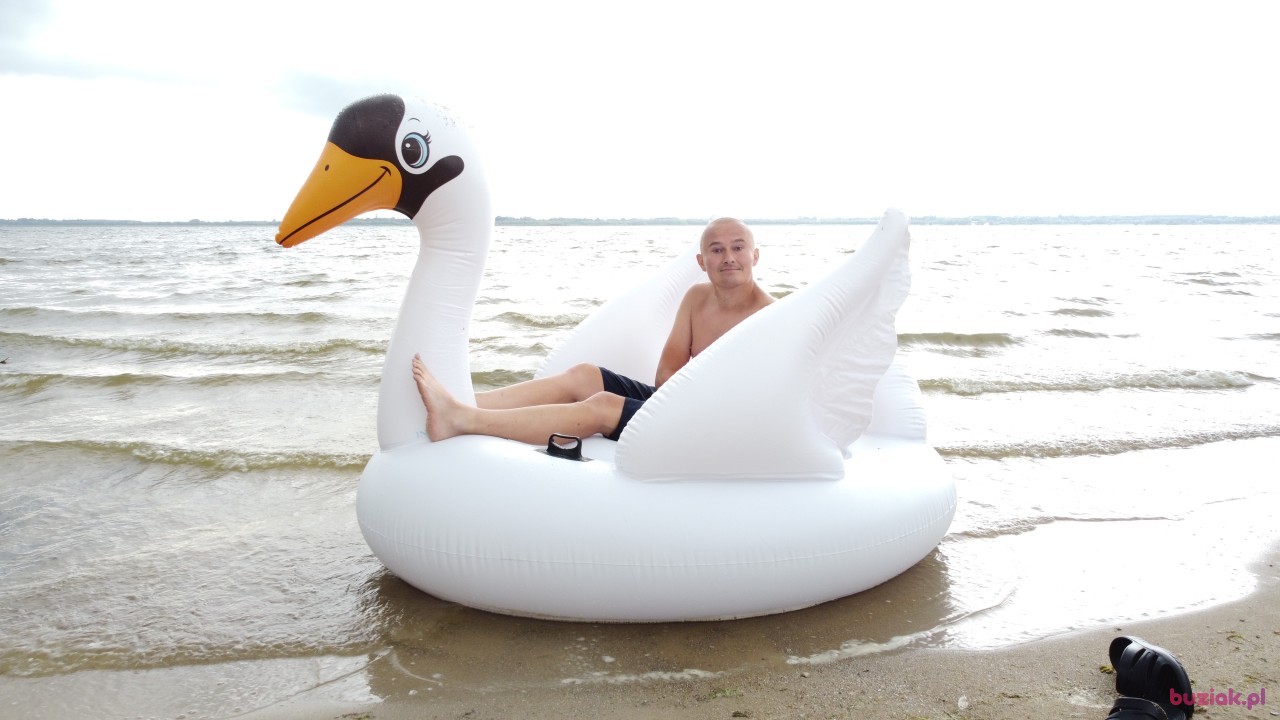 Michał, Mężczyzna, 36, Zgierz, Polska, Zdjęcie: 535
