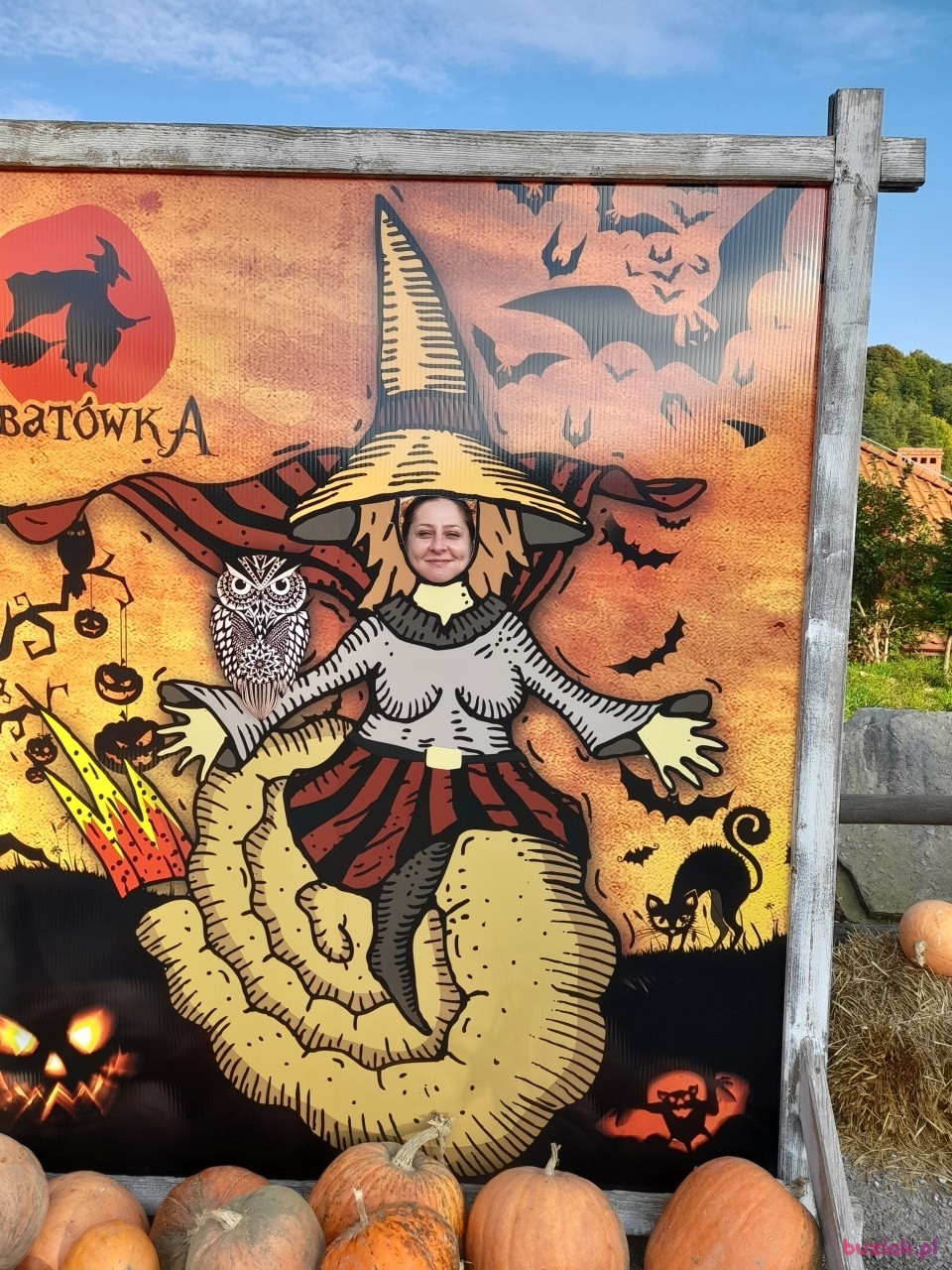 Agnieszka, Kobieta, 47, Zabrze, Polska: 1