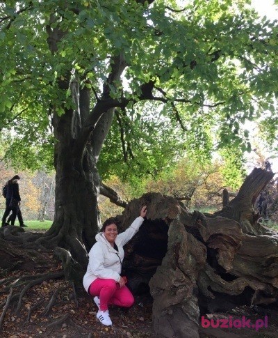Anna, Kobieta, 58, Glasgow, Wielka Brytania, Zdjęcie: 3