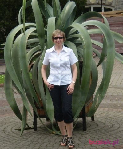 dorcia, Female, 56, Bielawa, Polska: 1