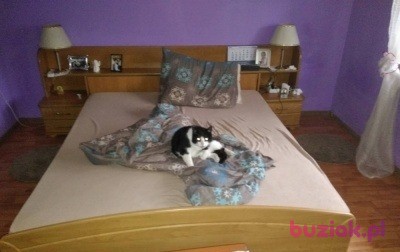 Sierhey Bubka, Mężczyzna, 36, Holandia, Zdjęcie: 2