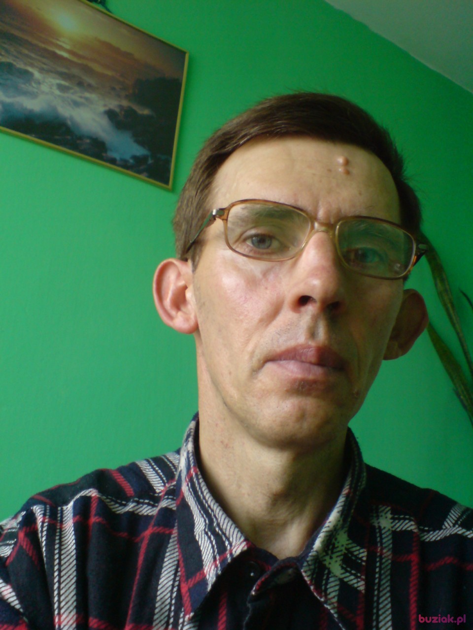 Andrzej, Male, 37, Łowicz, Polska: 1