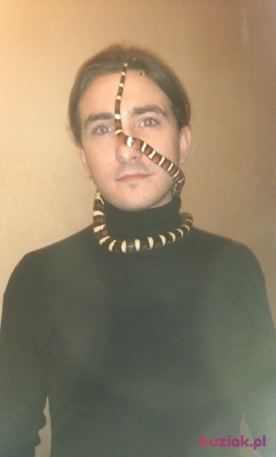 Adrian, Mężczyzna, 34, Częstochowa, Polska, Zdjęcie: 6
