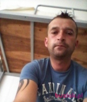sławek, Mężczyzna, 41, Gorzów Wielkopolski, Polska, Zdjęcie: 4