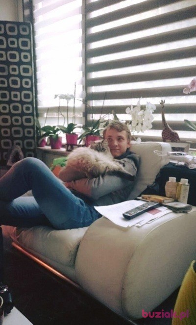 Adrian, Male, 32, Oss North Brabant Province, Holandia, Photo: 2